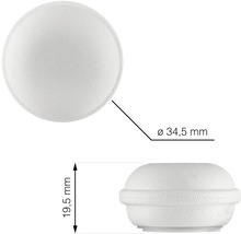 Obrázek kulatého nábytkového knoflíku o průměru 34,5 mm a výšce 19,5 mm.