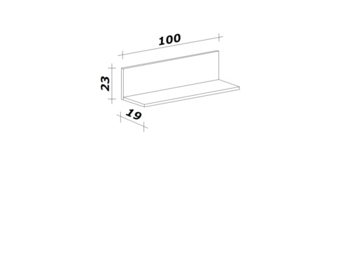 Technický nákres nástěnné police o rozměrech 100 x 23 x 19