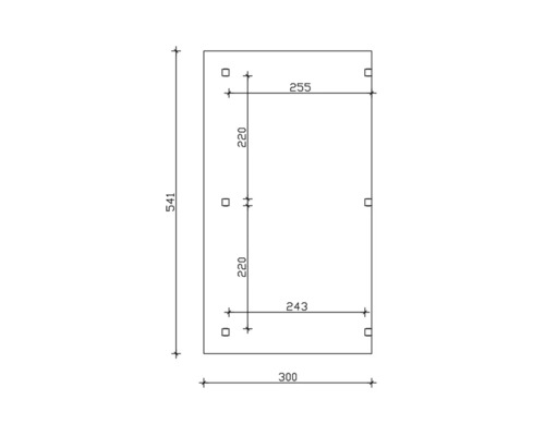 Technický výkres s rozměry: výška 541, šířka 300, vzdálenost otvorů 220 a 255
