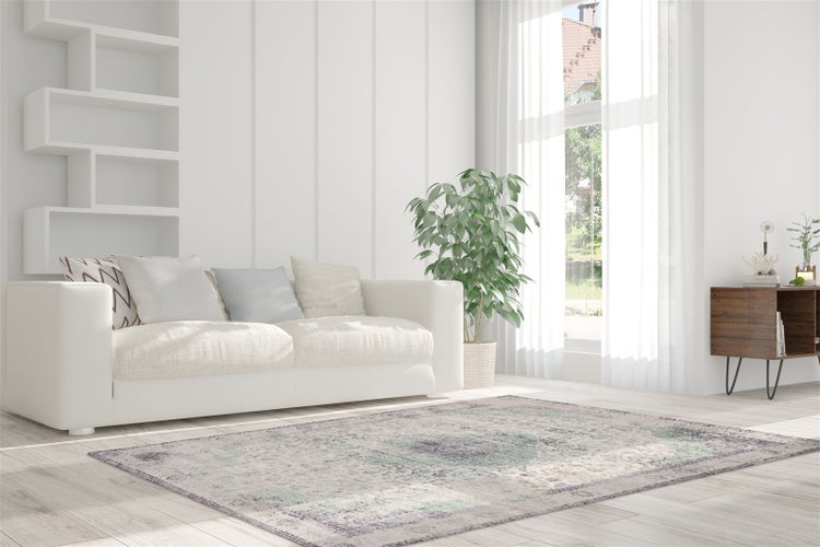 Světlý obývací pokoj se vzorovaným orientálním kobercem, bílou pohovkou, dřevěným příborníkem a pokojovou rostlinou. Moderní design.