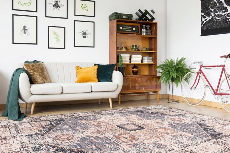 Obývací pokoj se světlou pohovkou, dřevěným regálem, červeným kolem a velkým kobercem s orientálním vzorem ve vintage designu.