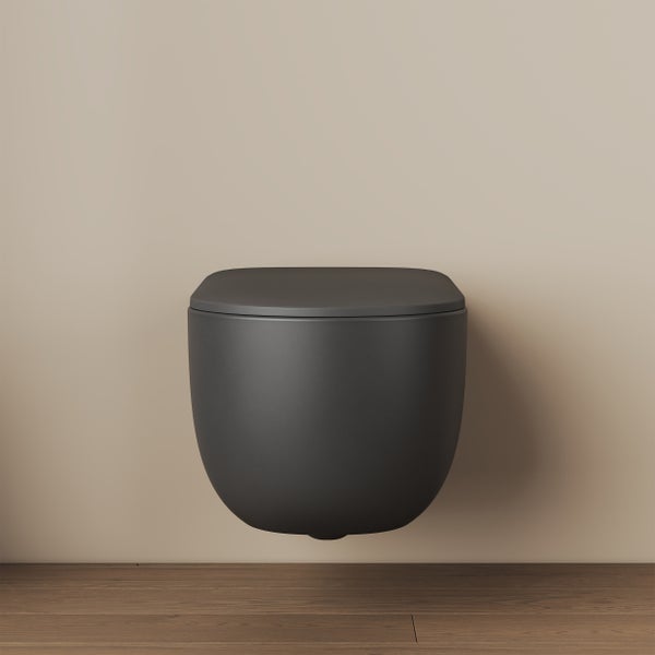 Závěsné WC v matném designu pro montáž na stěnu pro moderní koupelnu.